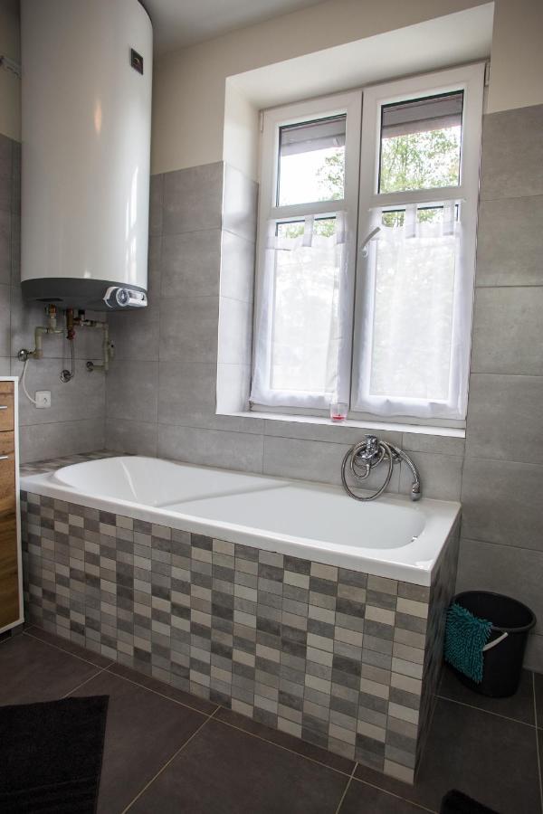 Cachrov Apartmany Ve Mlejne المظهر الخارجي الصورة